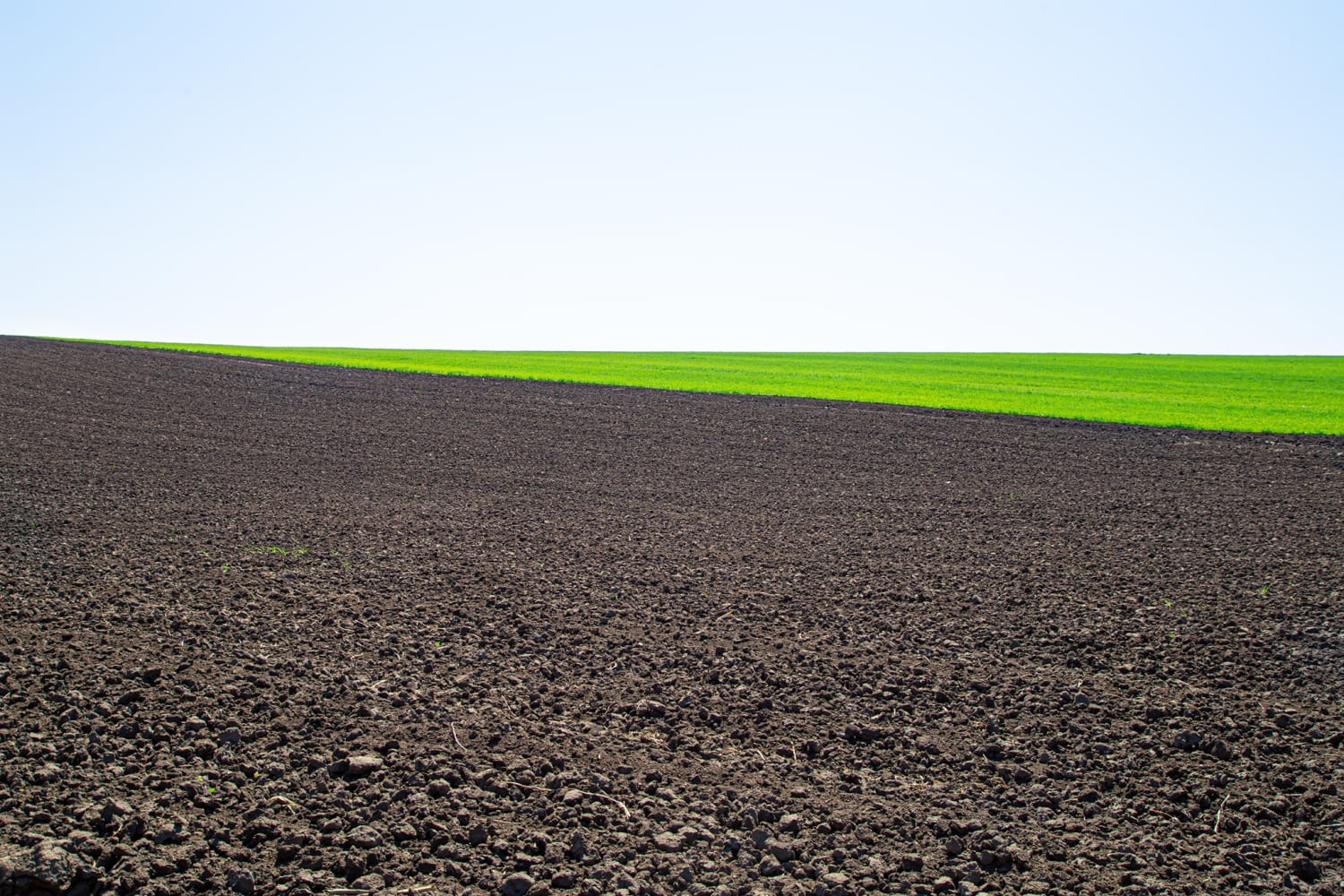 Україна входить до ТОП-10 європейських країн за темпами збільшення органічних земель