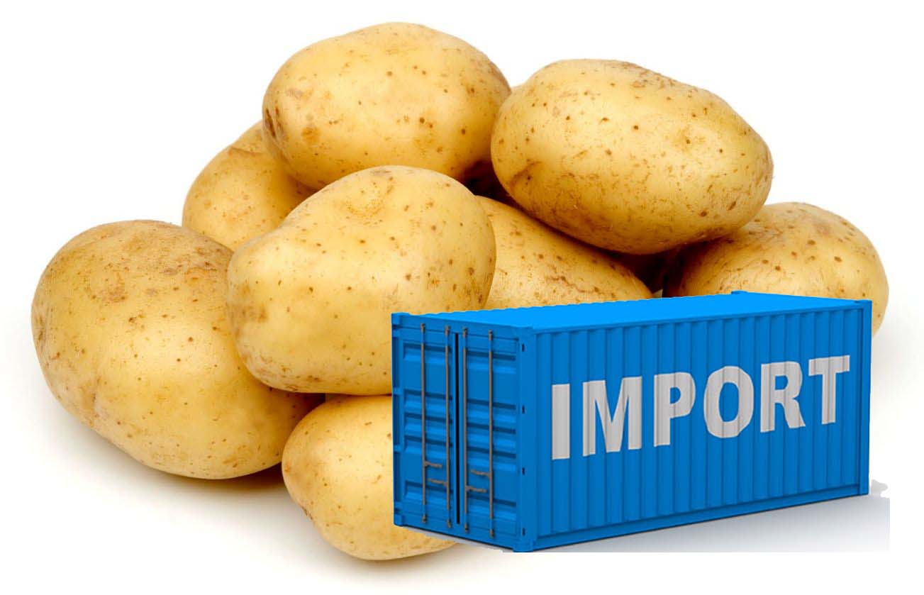 Імпорт картоплі в Україну практично припинився