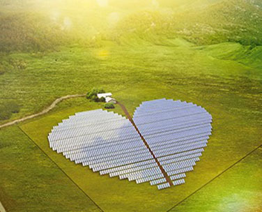 Держагентство з управління зоною відчуження передасть землі під будівництво сонячної електростанції