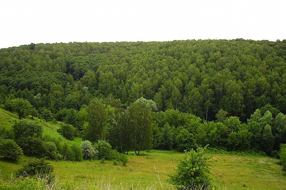 Меморандум між Україною та Австрією про співпрацю в галузі збалансованого управління лісами