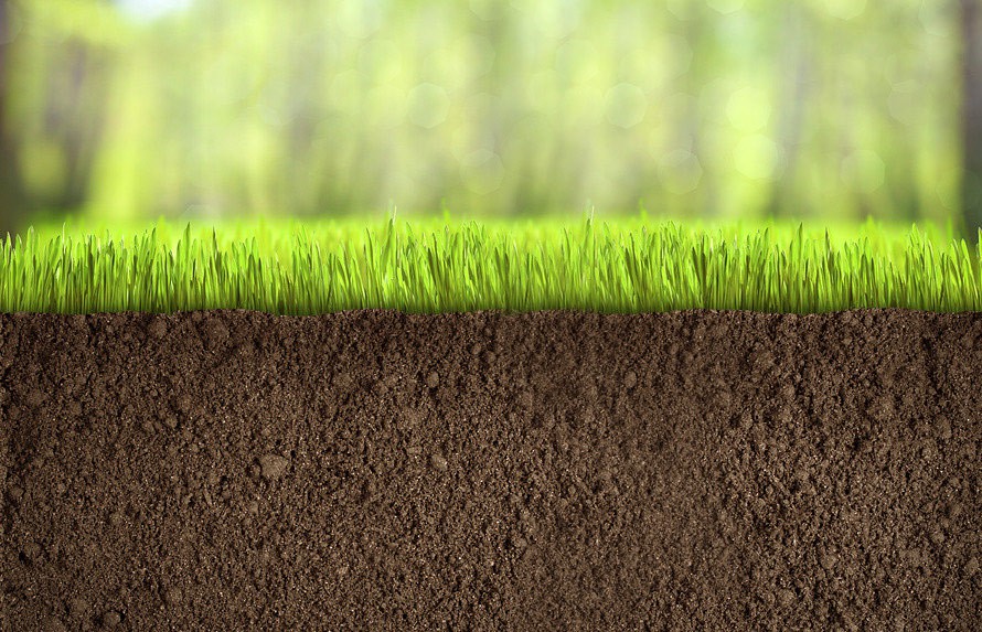 В НААН проаналізували стан ґрунтів за екологічними індикаторами зеленого зростання