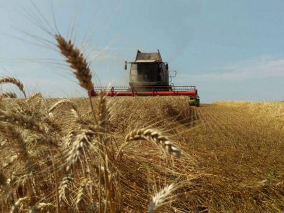 В Україні зібрано 70% зерна нового врожаю