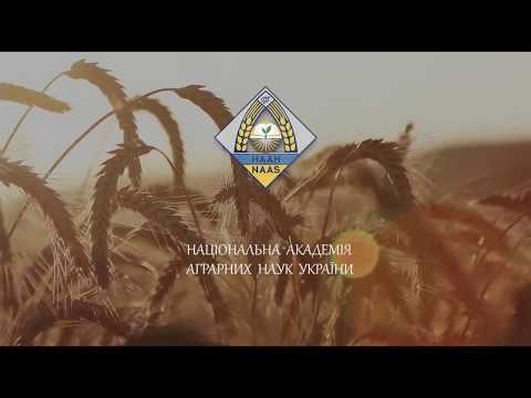 Національна академія аграрних наук України
