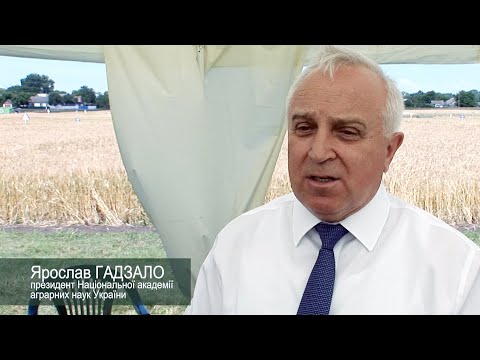 Ярослав Гадзало про значення і завдання аграрної науки у розвитку вітчизняного аграрного ринку