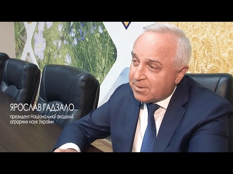 Президент НААН України Ярослав Гадзало про селянські домогосподарства та мале фермерство