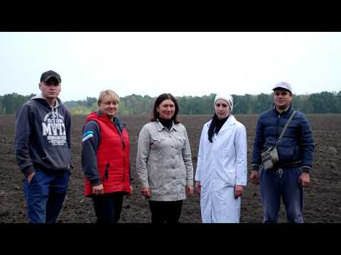 Вісті з наукових установ НААН: Миронівський інститут пшениці ім. В.М. Ремесла закінчив посів озимих культур під урожай 2021 року